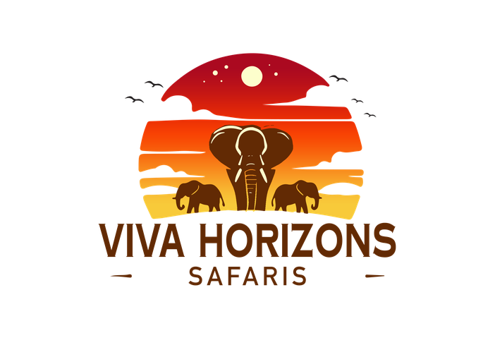 Viva Horizons Safaris